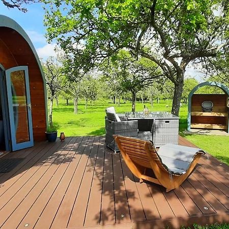 Orchard Farm Luxury Glamping And Campsite 格拉斯顿伯里 外观 照片