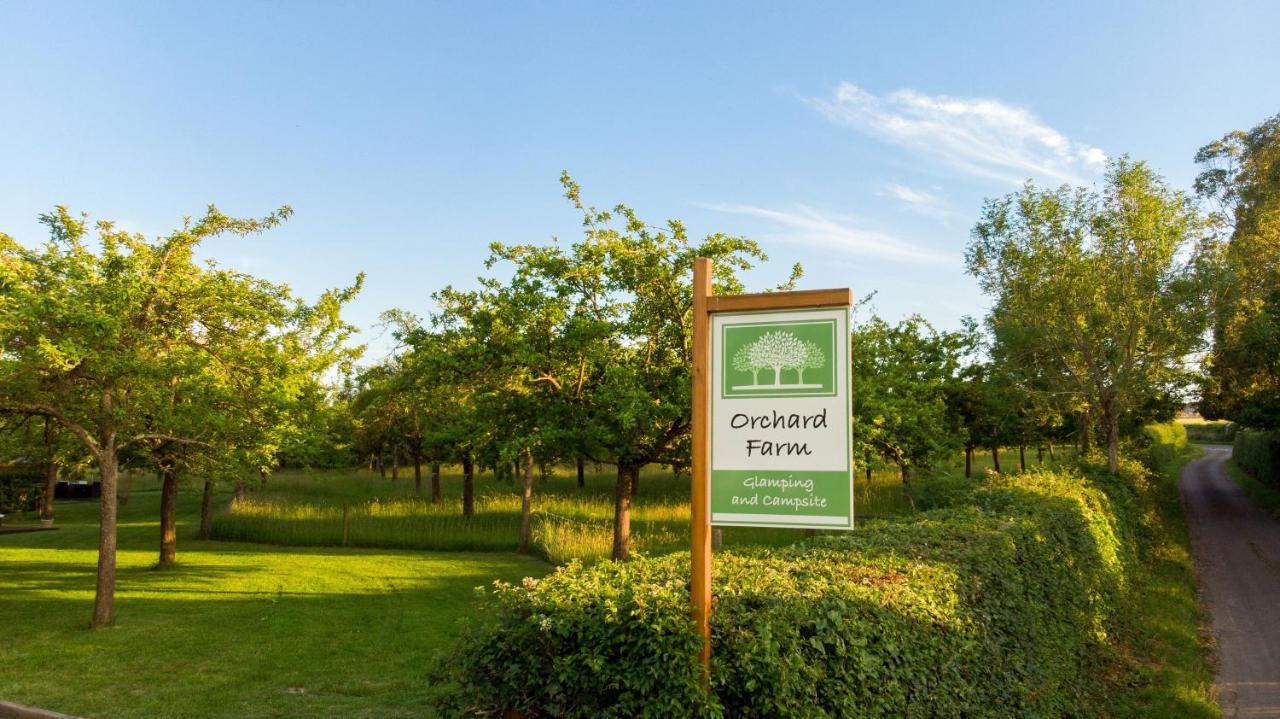 Orchard Farm Luxury Glamping And Campsite 格拉斯顿伯里 外观 照片