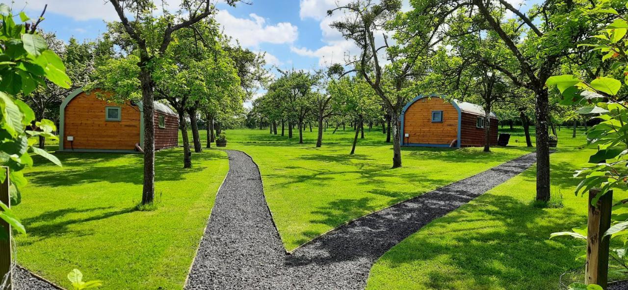 Orchard Farm Luxury Glamping And Campsite 格拉斯顿伯里 外观 照片
