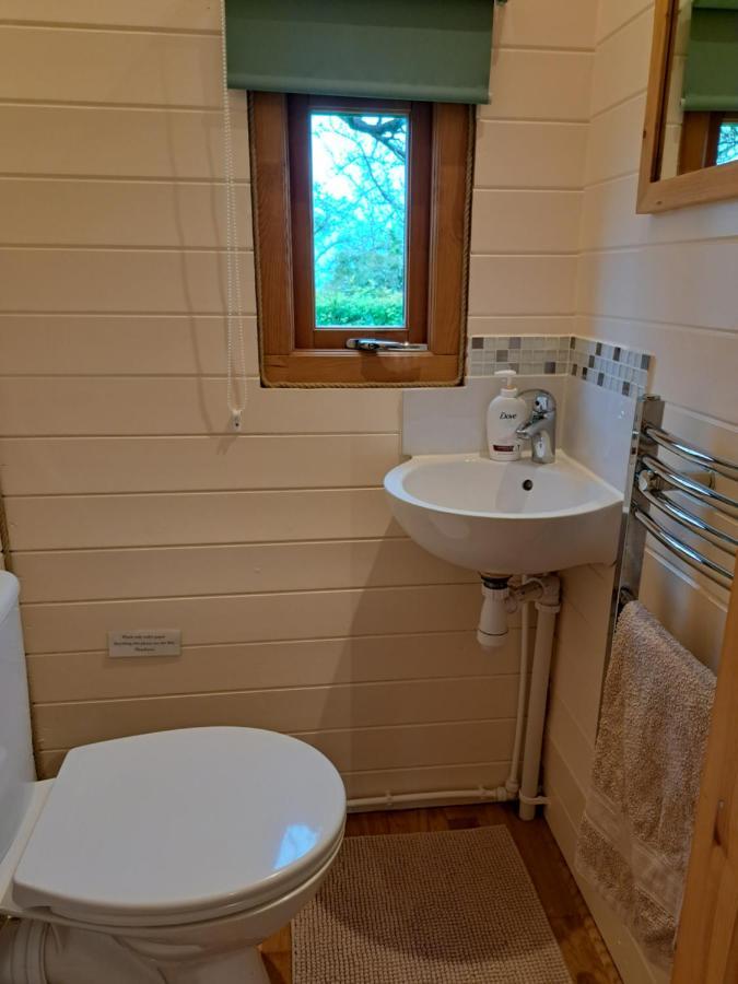 Orchard Farm Luxury Glamping And Campsite 格拉斯顿伯里 外观 照片
