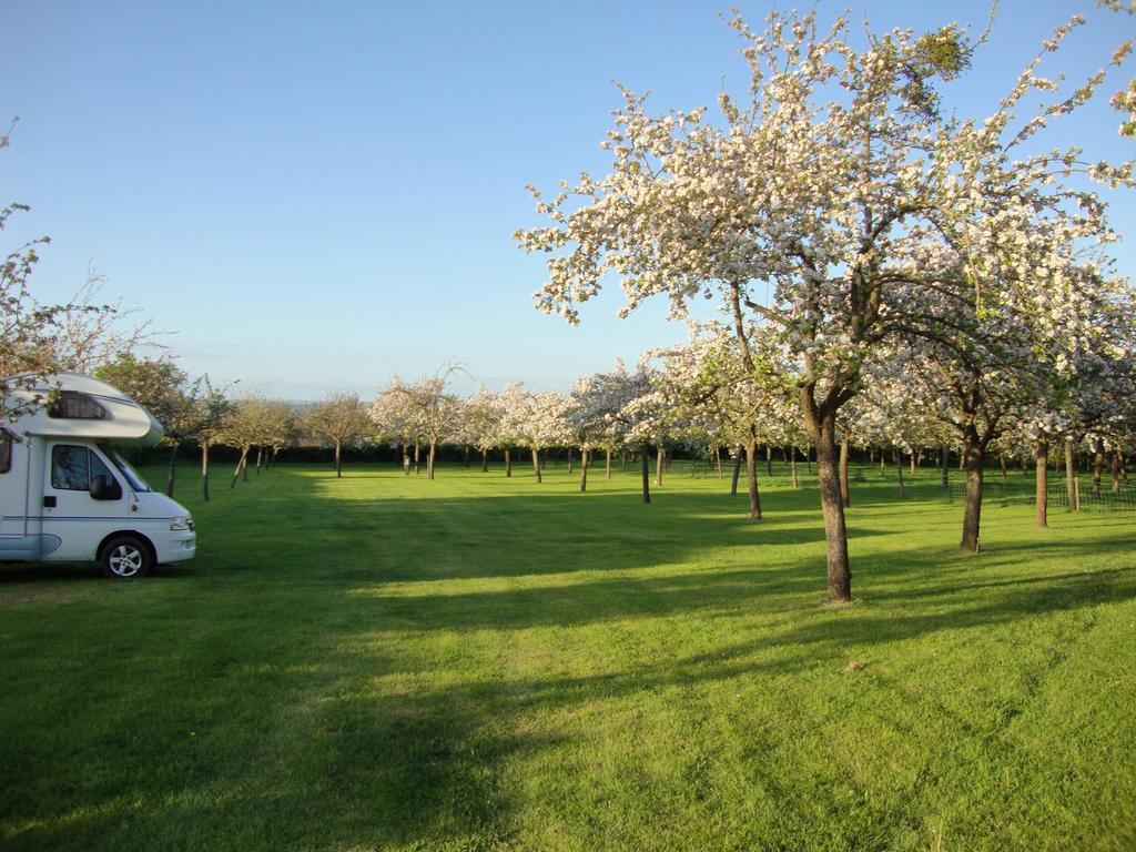 Orchard Farm Luxury Glamping And Campsite 格拉斯顿伯里 外观 照片