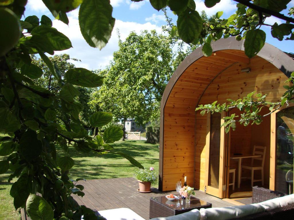Orchard Farm Luxury Glamping And Campsite 格拉斯顿伯里 外观 照片