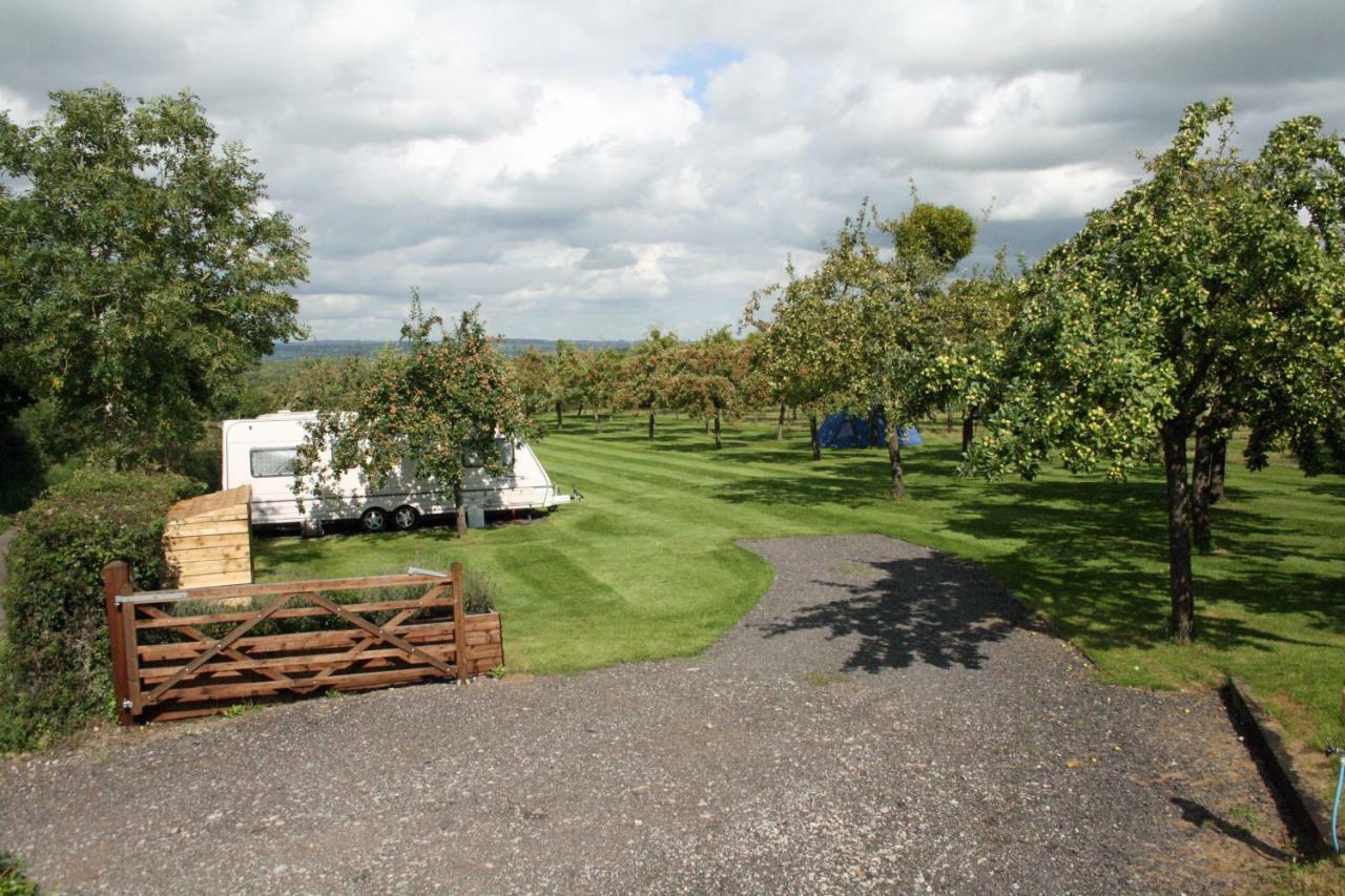 Orchard Farm Luxury Glamping And Campsite 格拉斯顿伯里 外观 照片